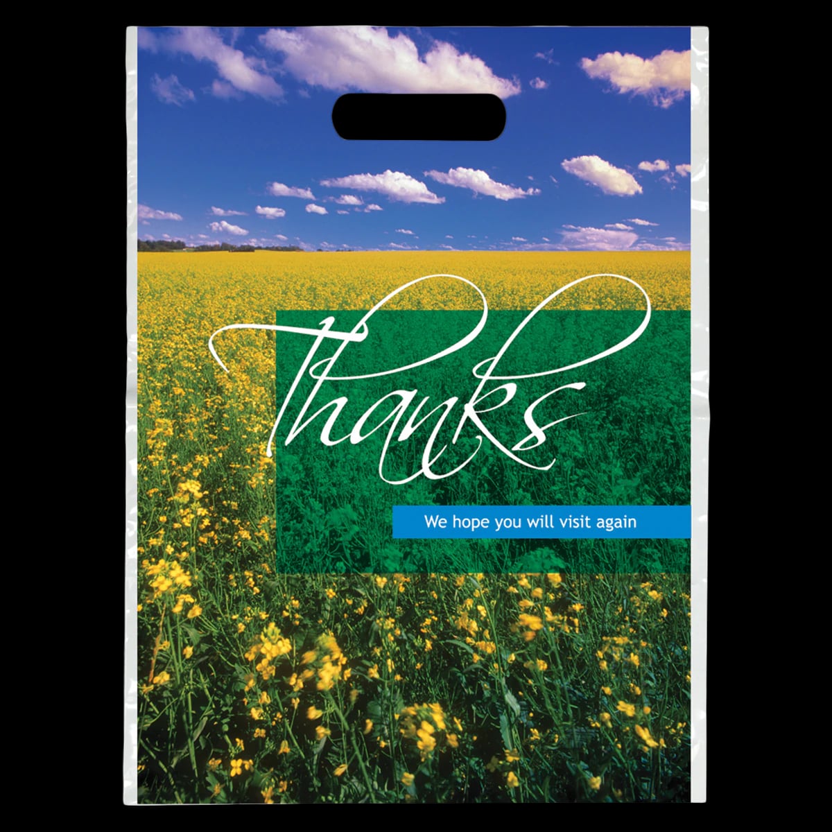 Sherman Specialty Full Color Thank You Bags, Wildflower Design, 9" x 13", 250/Pkg, 99F28
