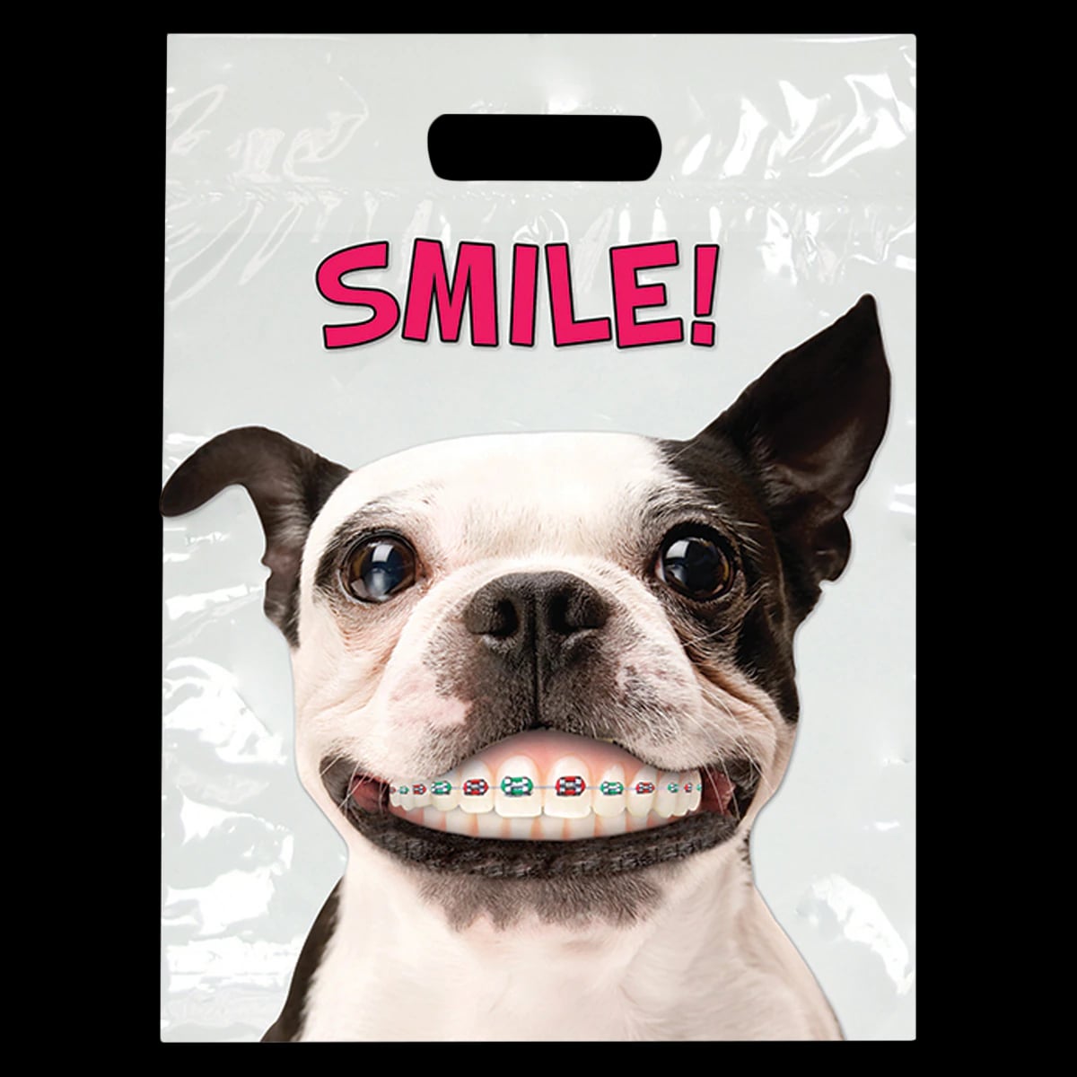 Dog with Braces Full Color Patient Bags, 9" x 13", 250/Pkg, 99F55