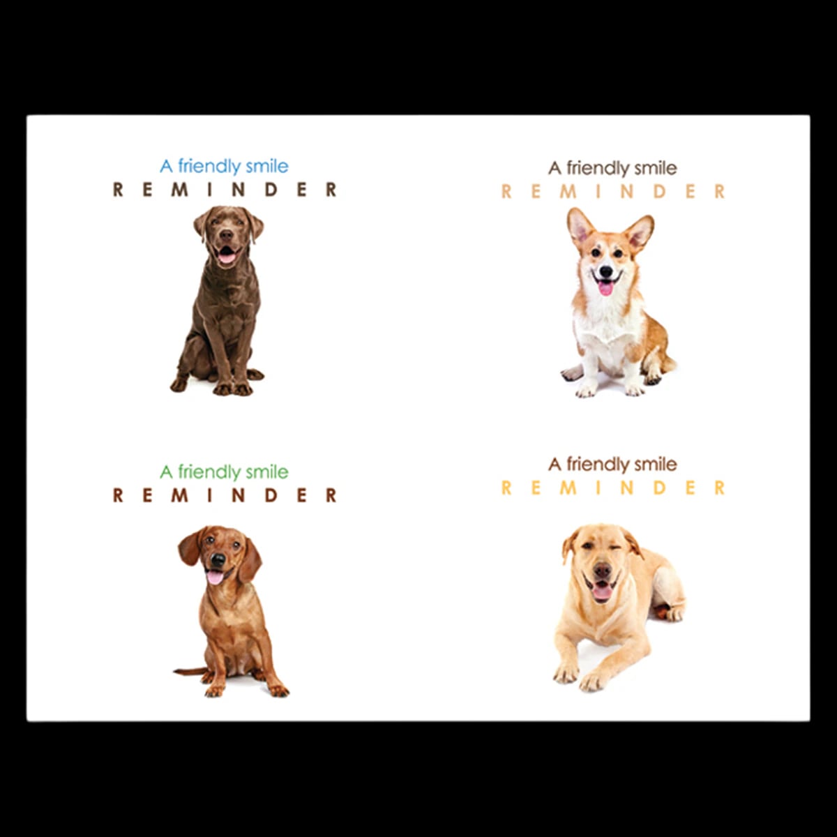 Recall Card Dogs, 4-Up Laser, 8.5 in x 11 in, 200/Box