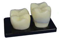 Model PFM Display Stand, Ceramic Crown, 3 in x 5 in x 0.5 in, Each
