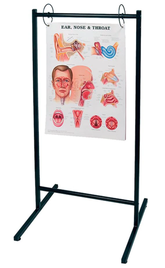Stand For Chart 20x26"