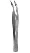 Carmalt Splinter Forcep, Curved, 4-3/4" (12 cm), Autoclavable, Each