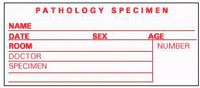 Precision Dynamics Spec & Path Time Label, 3-1/2" x 1-1/2", Roll