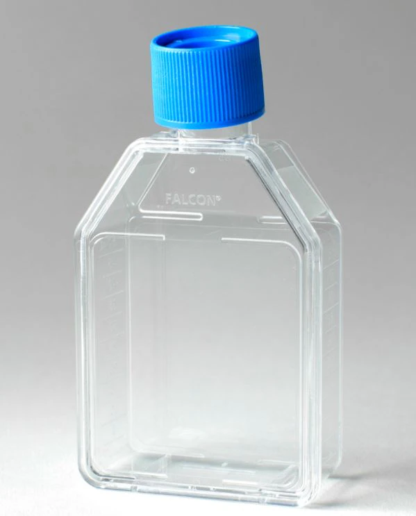 Falcon Cell Culture Flask, Polystyrene, 25 cm², Rectangular Canted Neck, Vented Cap, 70 mL, Clear, Graduated, 100/Case