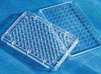Corning 96-Well Round Bottom Polystyrene Microplate, 330 µL, Clear, Without Lid, Sterile, 100/Case