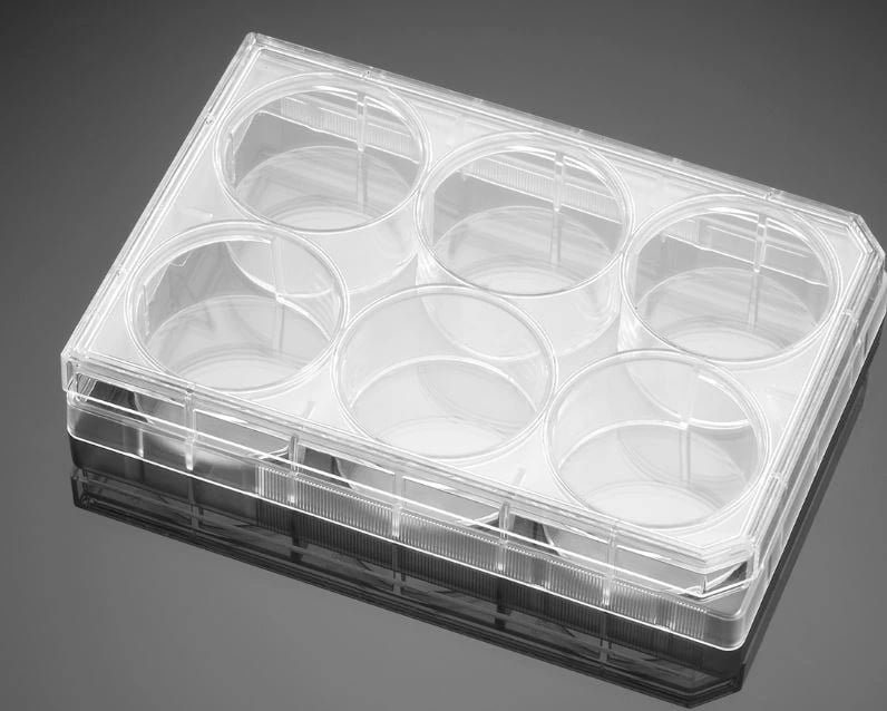Falcon 6-Well Cell Culture Plate, Polystyrene, Flat Bottom, 15.5 mL, Sterile with Lid, 50/Case