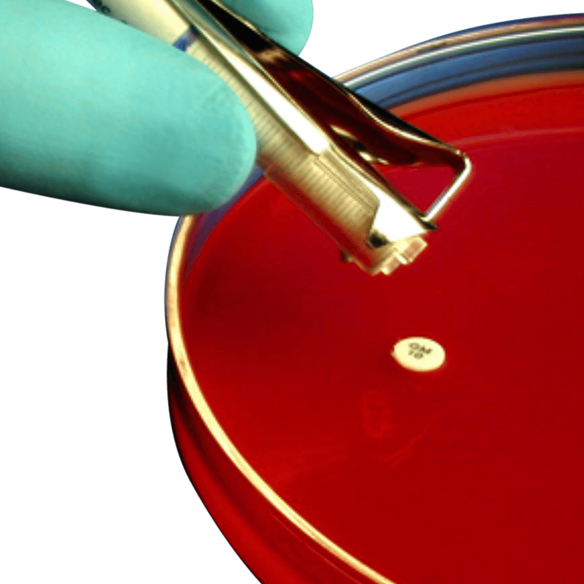 Hardy Diagnostics Sensi-Disc Nalidixic Acid Susceptibility Disk, NA-30, 30 mcg, Each