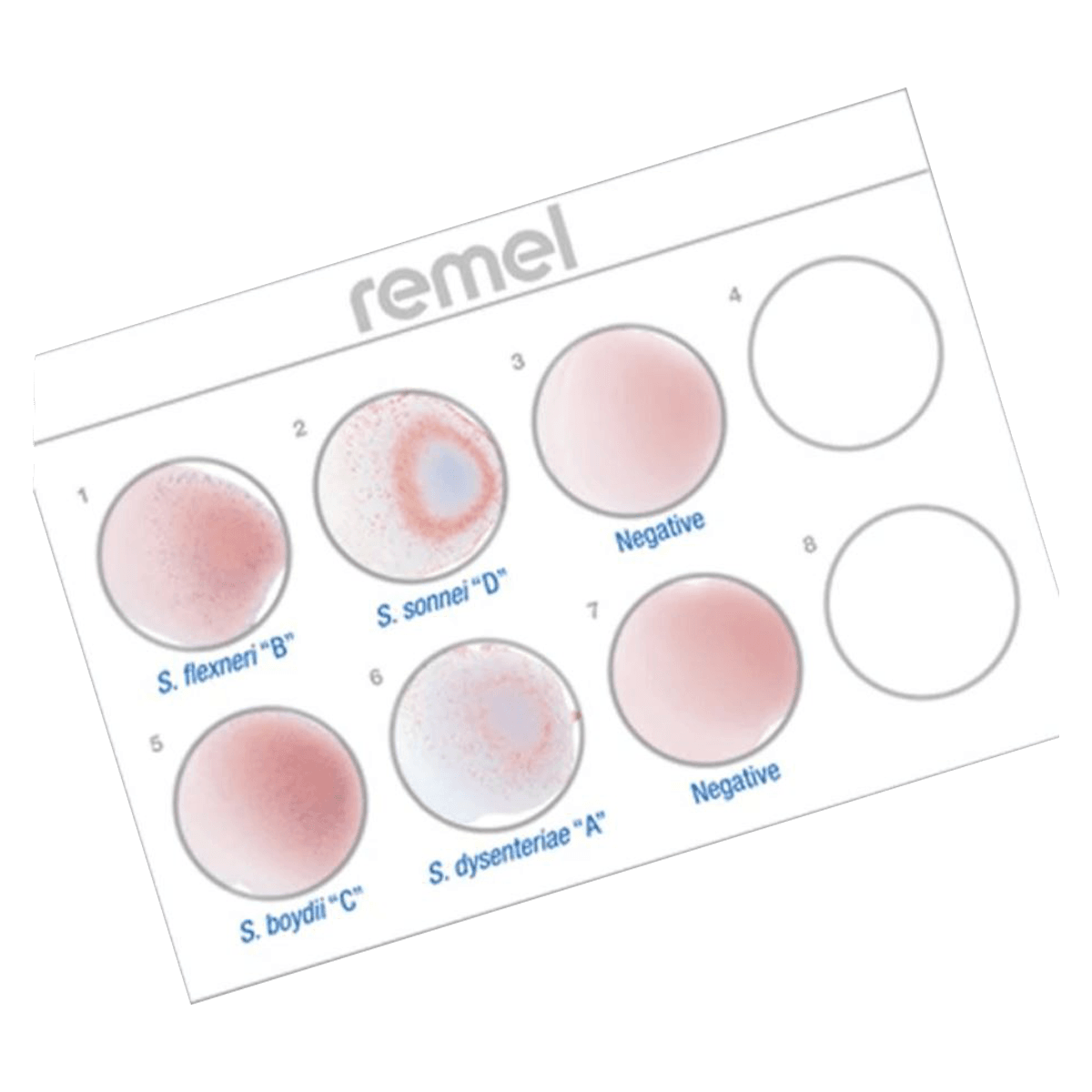 Wellcolex Colour Shigella Test Kit, 50 Tests/Kit