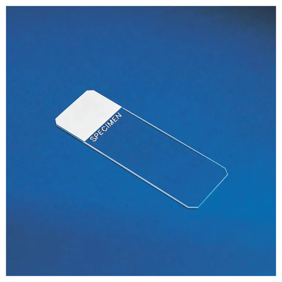 Fisherbrand Frosted Microscope Slides, 3x1 inch, White, 45° Clipped Corners, 144/Pk