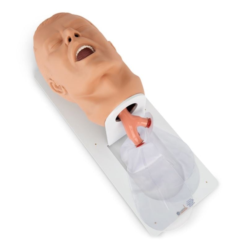 Nasco Healthcare Econo Adult Airway Management Trainer