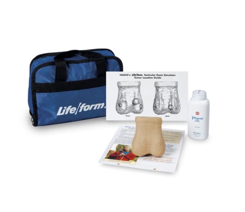 Life/form Anatomical Adult Testicular Exam Model