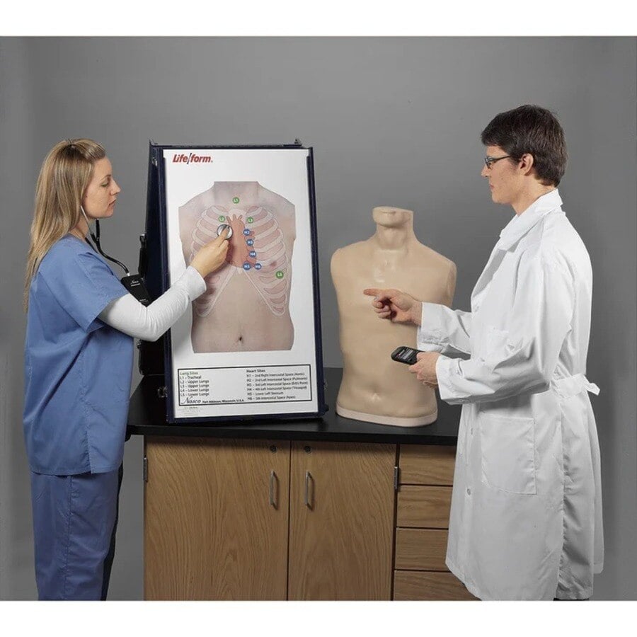 Life/form Auscultation Trainer Station