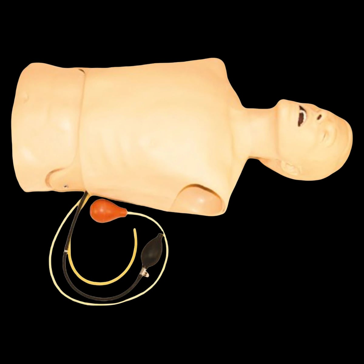 Laerdal AT Kelly Torso Airway Training Manikin with Bladder Replacement Kit, Lubricant, Tank Top, Carry Case, and Directions for Use
