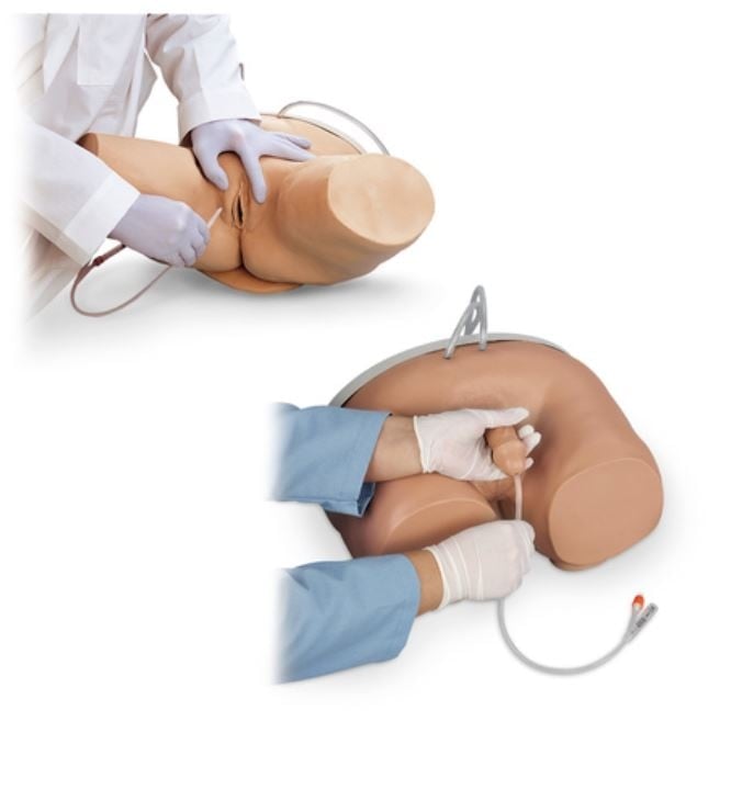 Nasco Healthcare Catheter Educational Simulator, Male & Female, Each