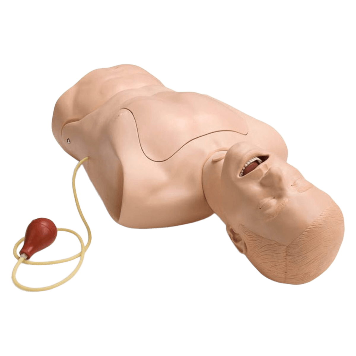 Laerdal NG Tube/Trach Care Simulator