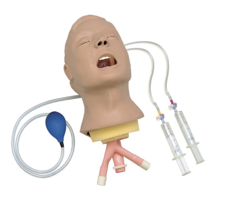 Life/form Advanced Airway Larry Airway Management Trainer Head, Nasco Healthcare