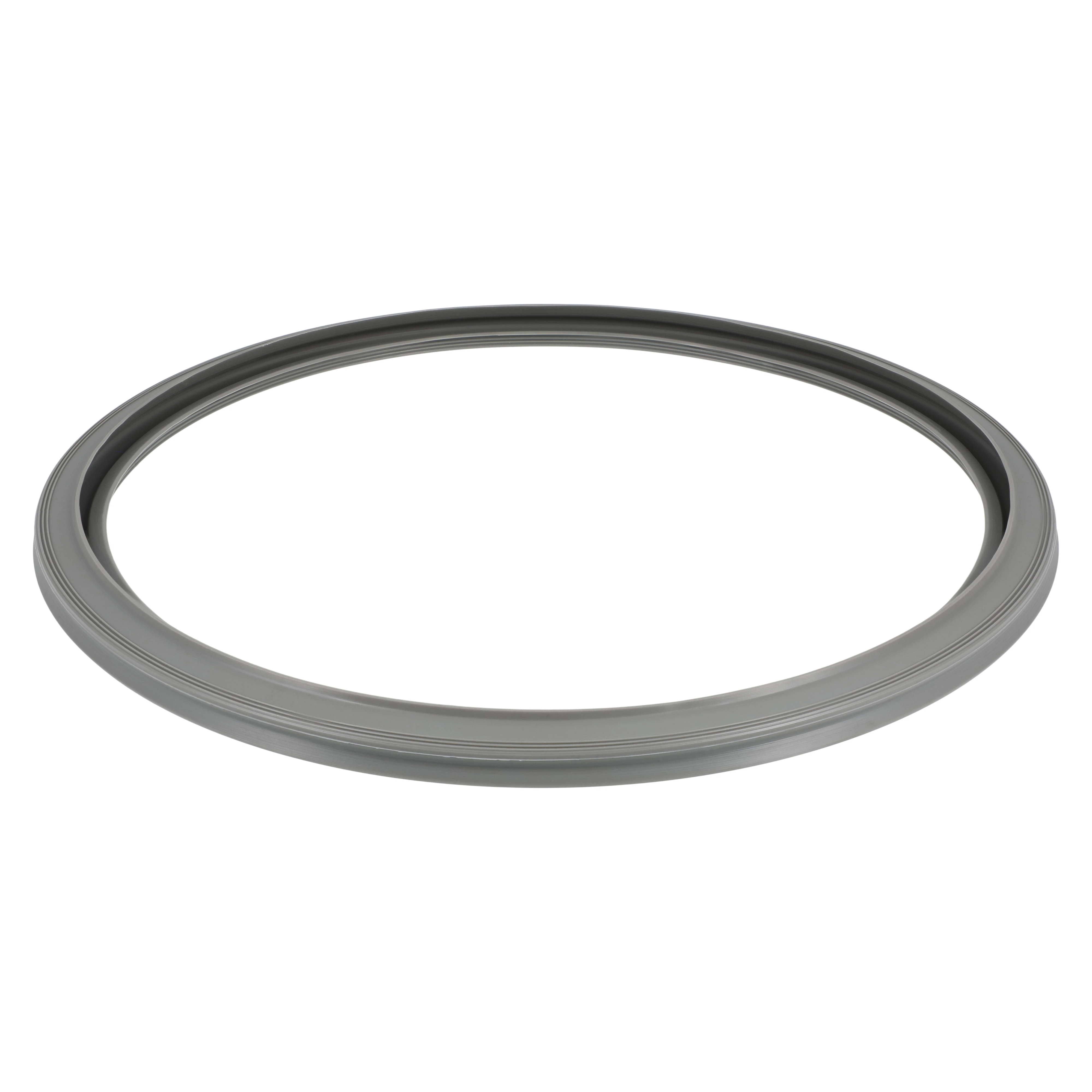 Maxima Chamber Door Gasket
