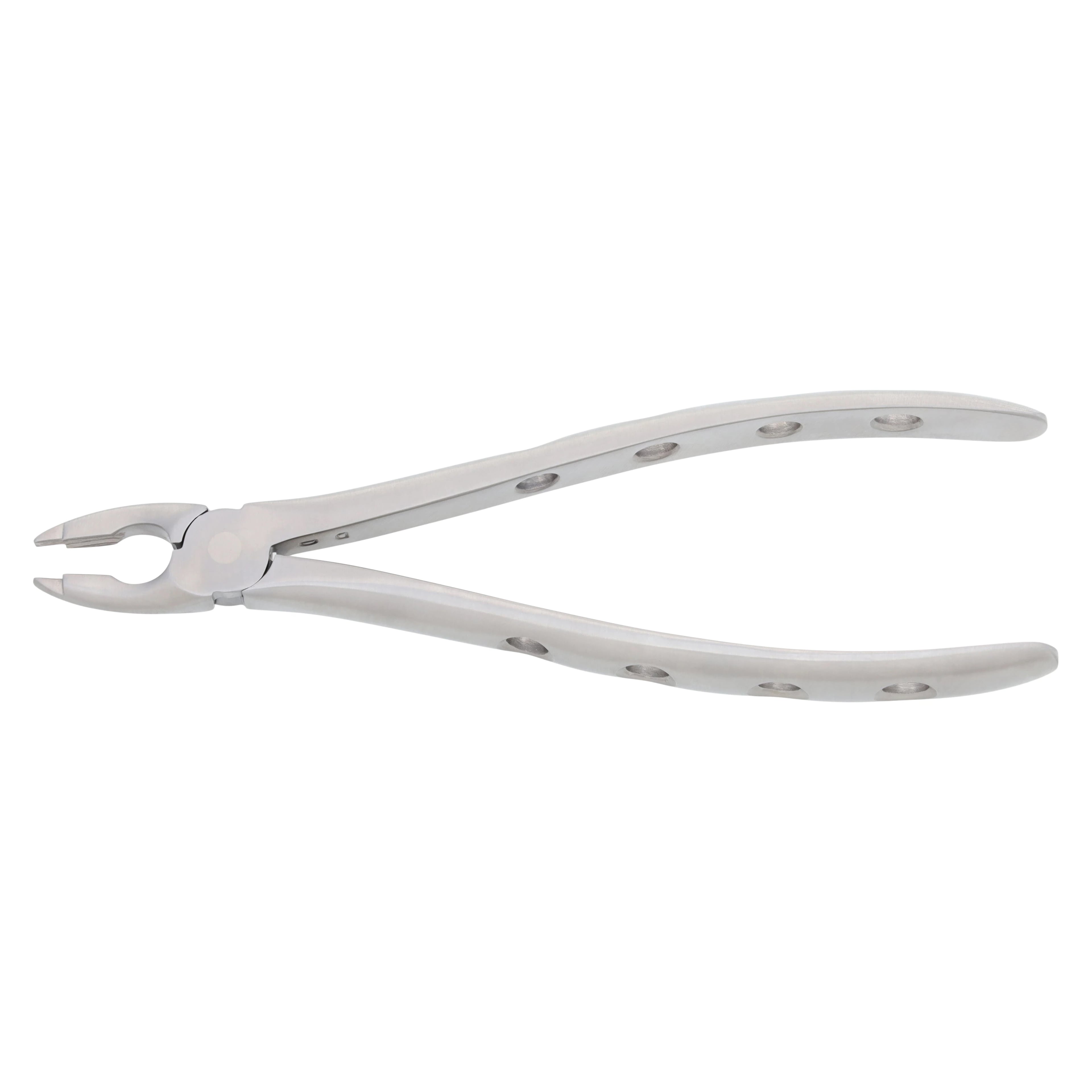 Nordent Extracting Forceps Size 99, Upper Anterior, Adult, Serrated, Non-Locking, German Stainless Steel