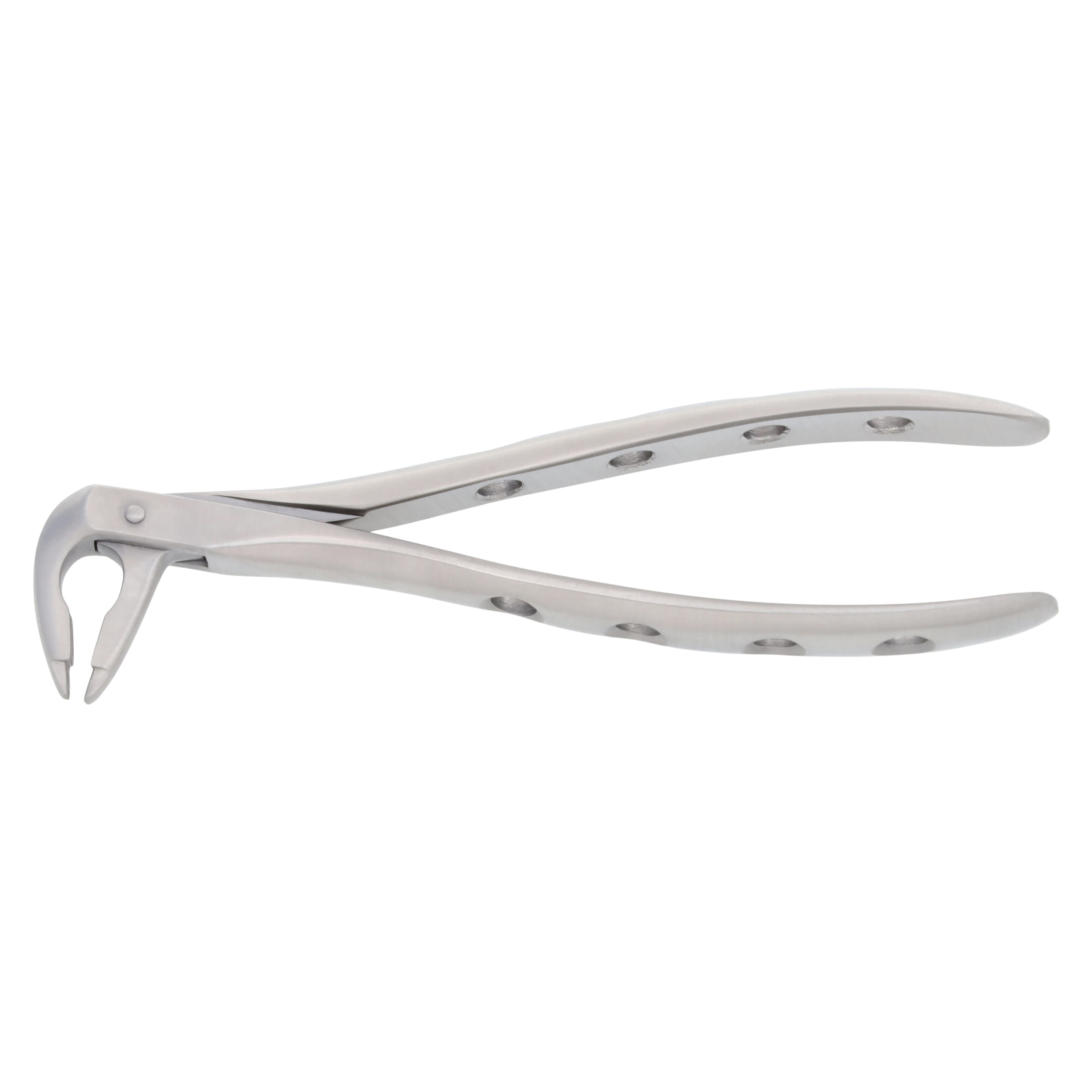 Nordent Extracting Forceps 74, Lower Anterior, Deep Gripping, Bird Beak, Adult, Serrated, Non-Locking, German Stainless Steel