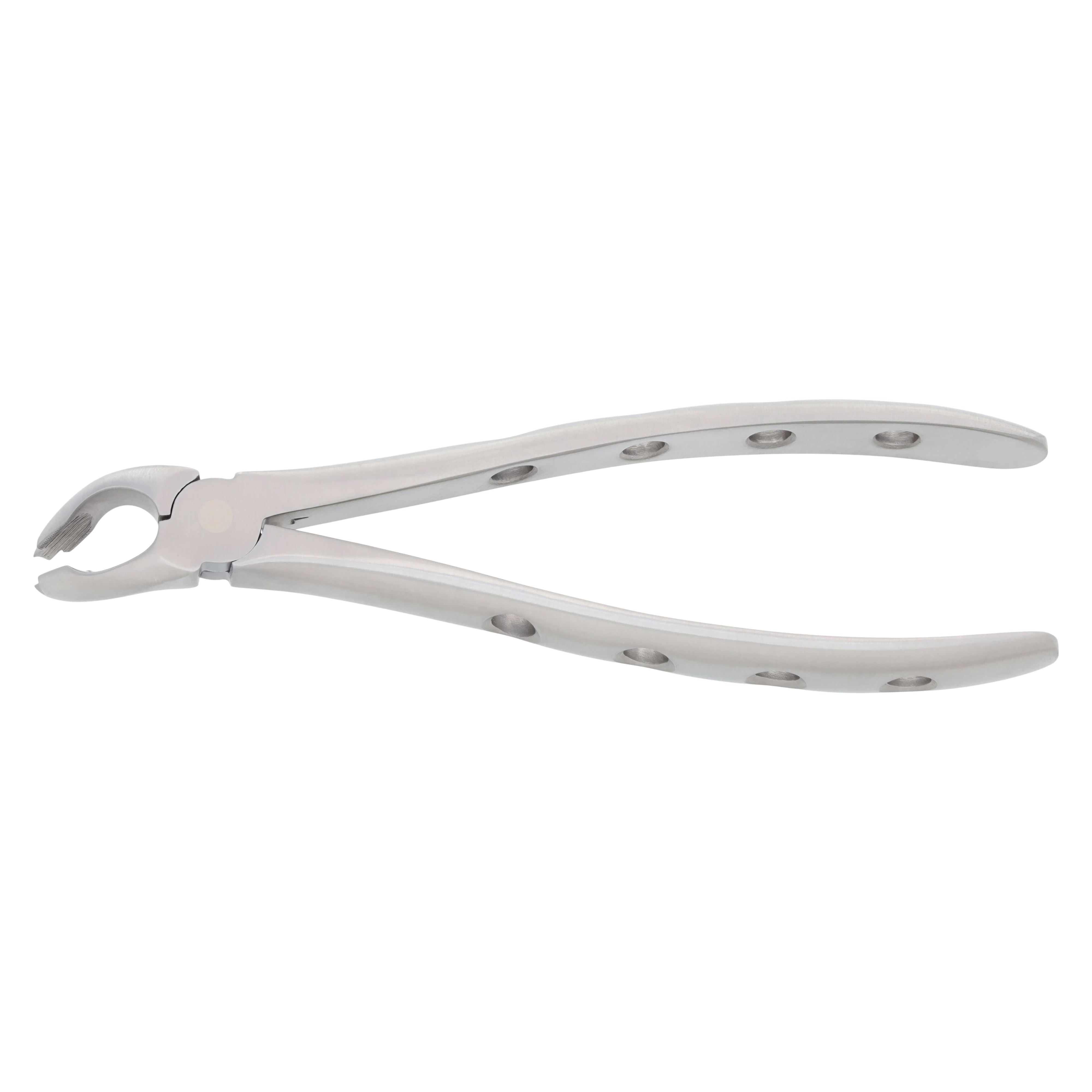 Nordent Extracting Forceps 151 Lower Universal, Deep Gripping, Adult, Serrated, Non-Locking, Stainless Steel