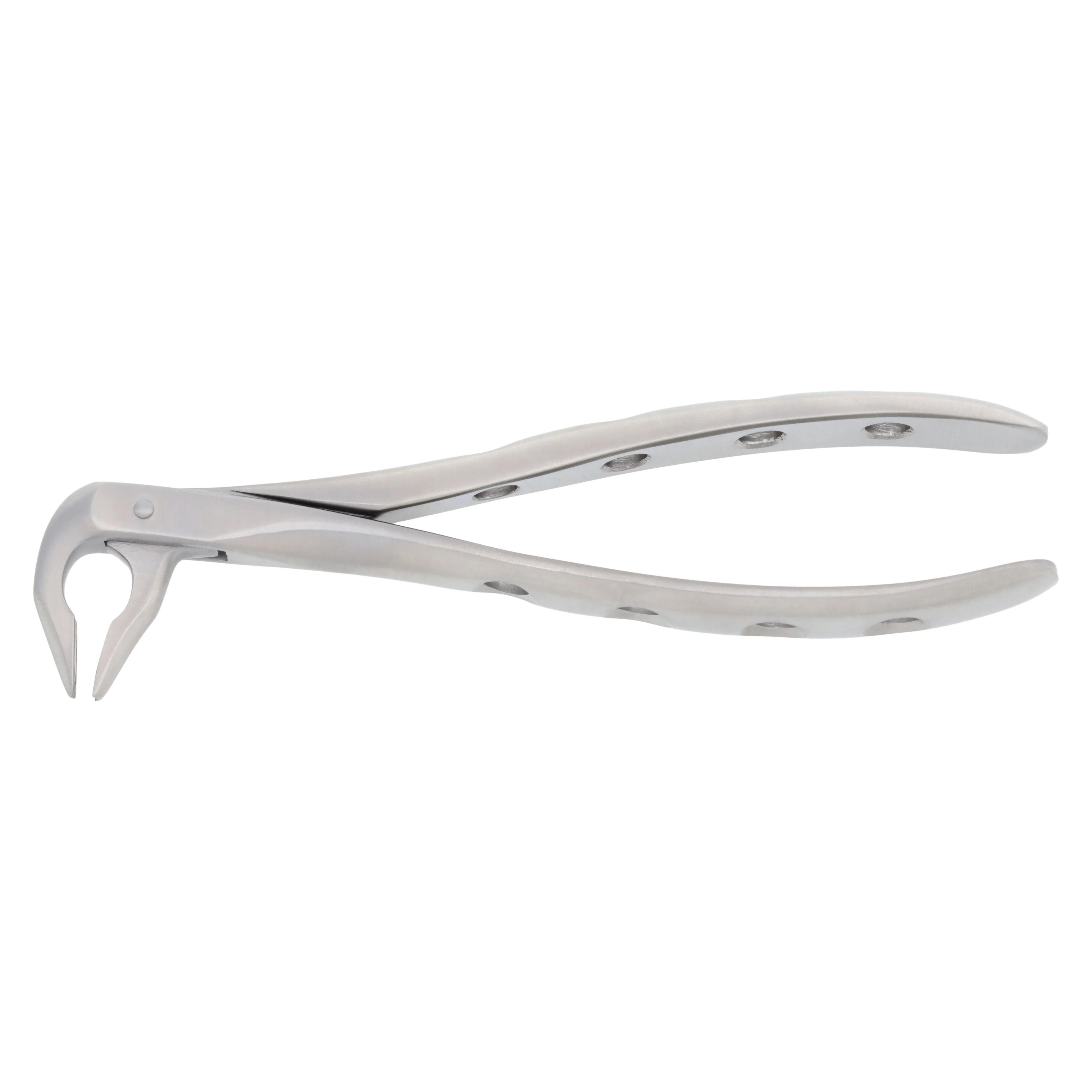Nordent Extracting Forceps 74N Lower Anterior, Narrow, Atraumatic, Bird Beak, Adult, Serrated, Non-Locking, German Stainless Steel