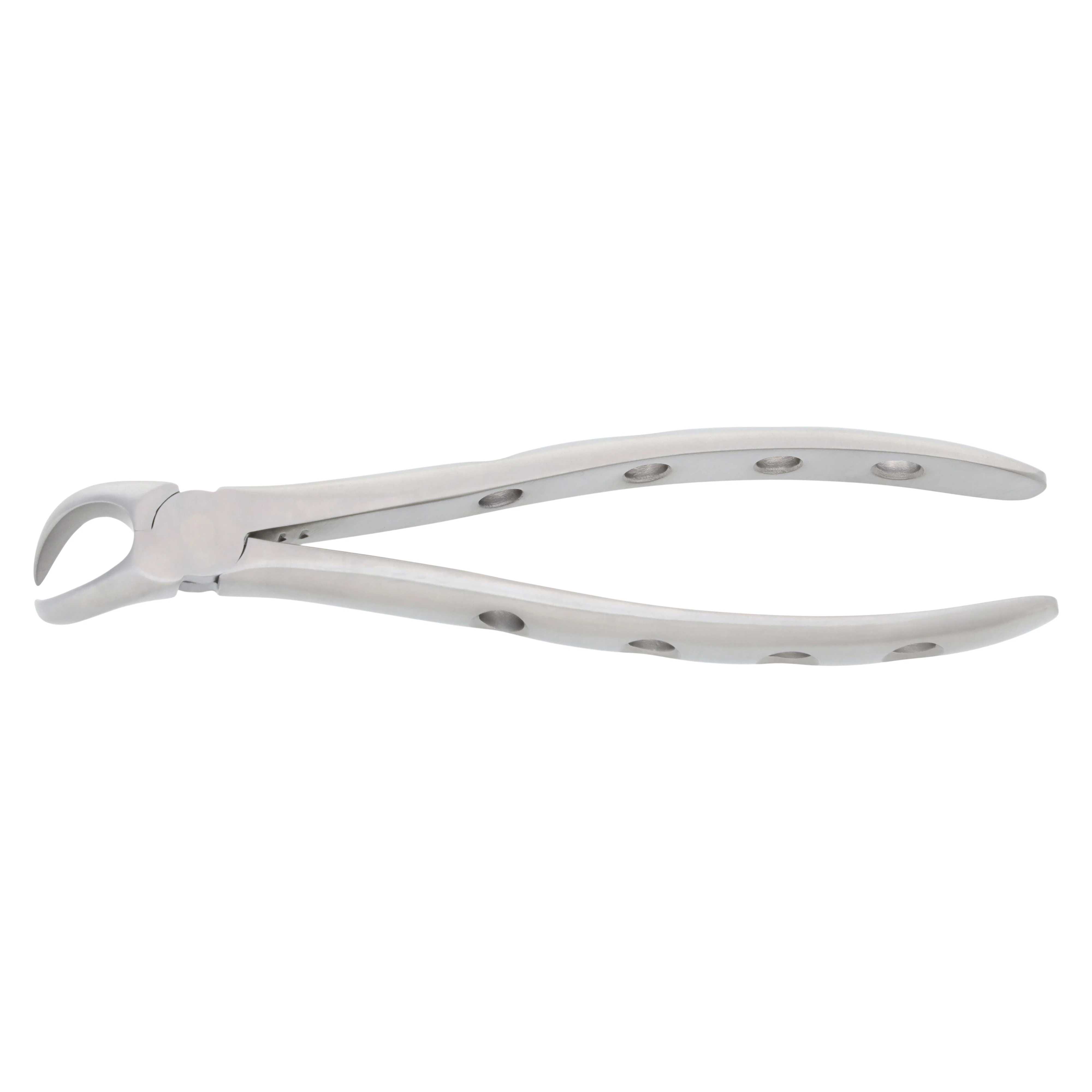 Nordent Extracting Forceps #23 Lower Cowhorn, Adult, Serrated, Non-Locking, Stainless Steel