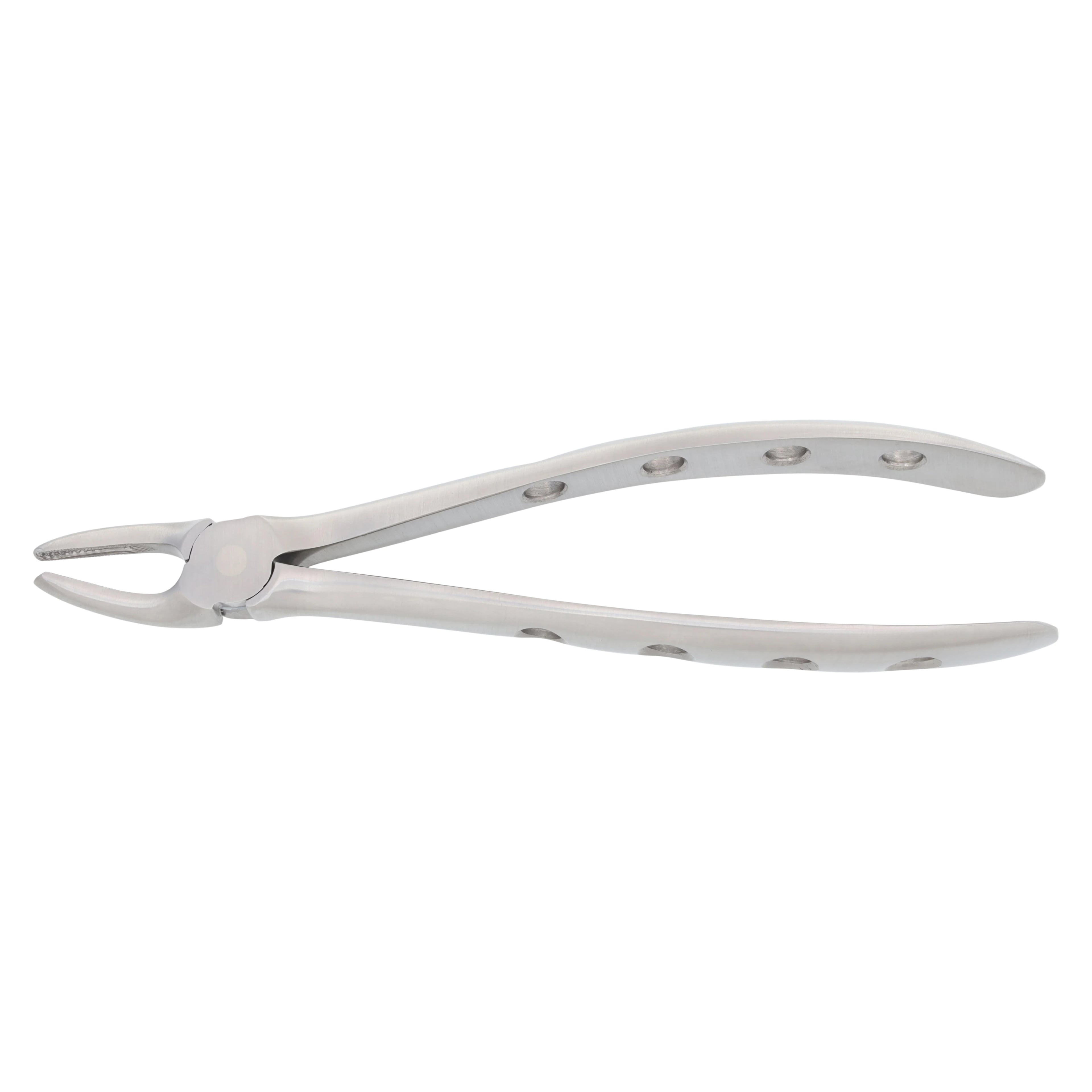 Nordent Extracting Forceps, Mead 2, Upper Molar Universal, Adult, Serrated, Non-Locking, German Stainless Steel