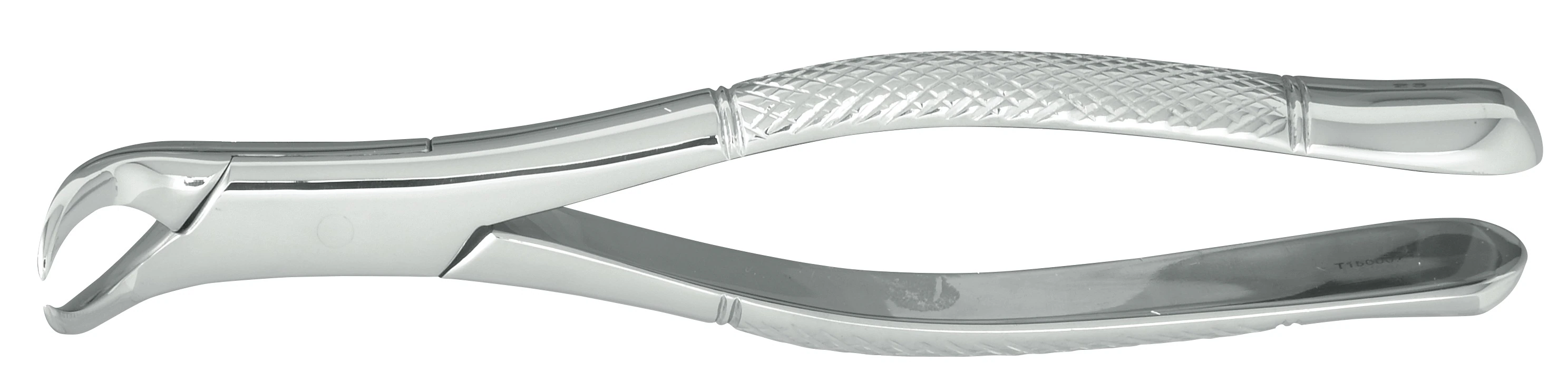 Nordent Extraction Forceps #23 Lower Molar Cowhorn, Straight Handle, Stainless Steel, 1 Each