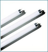 Wolf X-Ray Replacement Bulb for Illuminator Viewbox, 01KEZKNVHH0B1ET8FP6XM432QA