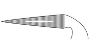 Hu-Friedy Steiglitz Root Forceps, 90-Degree, Stainless Steel, 1 Each