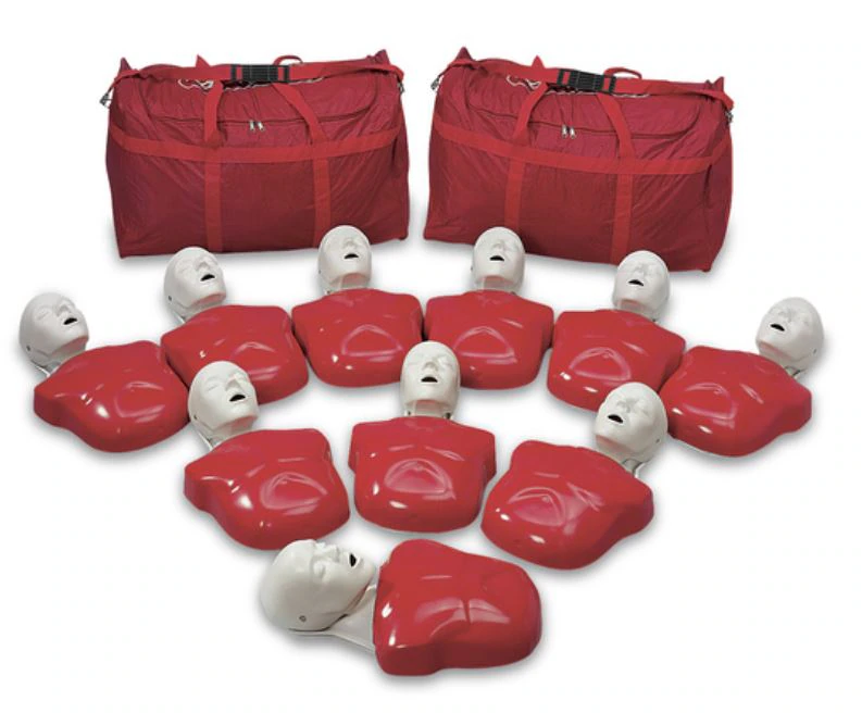 Nasco Basic Buddy Torso/Head Manikin Set, 10 Adult/Child Manikins with 100 Lung/Mouth Protection Bags, 10 Insertion Tools, 2 Carrying Cases, 2 Manuals