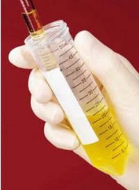 Fisherbrand Polypropylene Centrifuge Tube, 15mL, 17x119mm, Conical Bottom, Snap Cap, Sterile, 500/Case