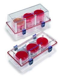 BD GasPak EZ Anaerobe System, 20 Sachets/Box