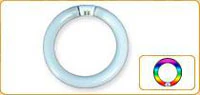 Eiko Global Cool White Circline Bulb, 22W T9, G10Q Base, 4100K, 12000 hr, 1/Bx