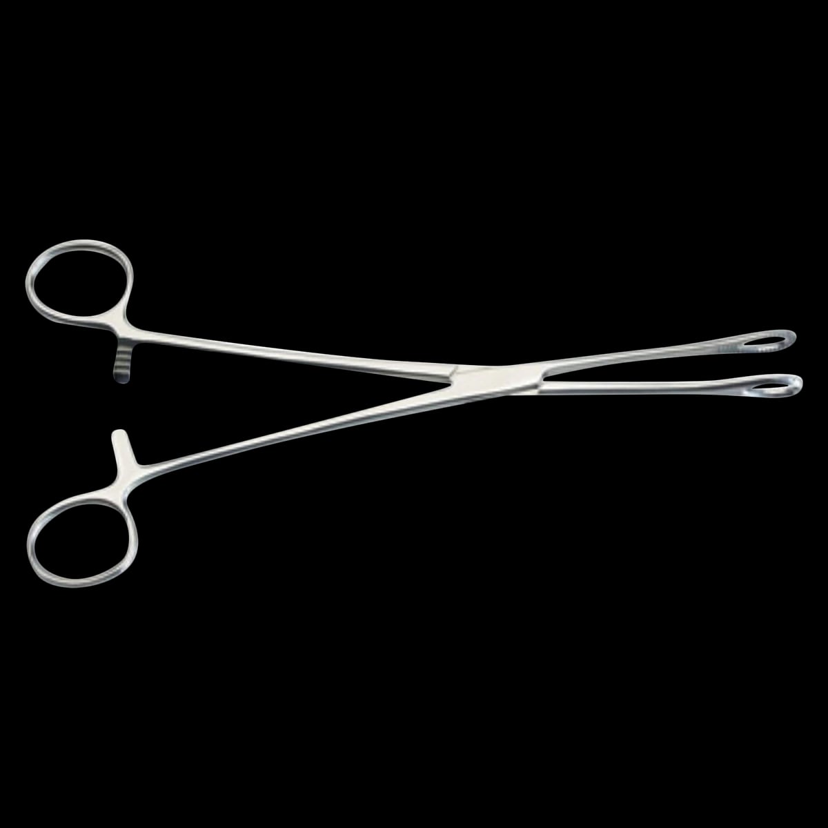 Foerster Sponge Forceps, 9-1/2" Stainless Steel, Autoclavable, Each