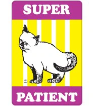 Shamrock Dental Company Super Patient Labels, 2" x 3", 150 per Roll