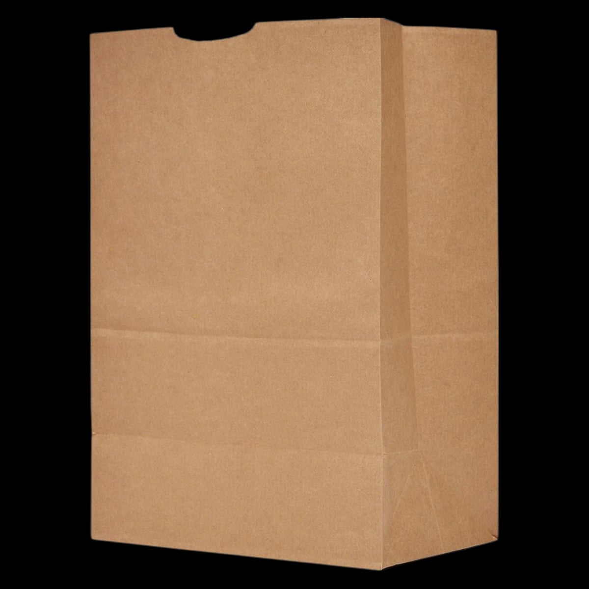 Lagasse Grocery Bag #57, 500/Package