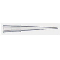 Fisherbrand Pipette Tips, 0-200 µL, 2" Disposable, 1000/Package