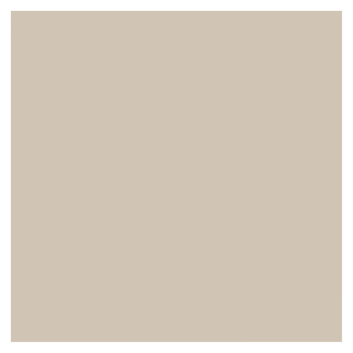 Zirc Dispos-A-Screen Cuspidor Screen, Large Universal, Gray, 2-1/2", 25/Pack, 51Z205S