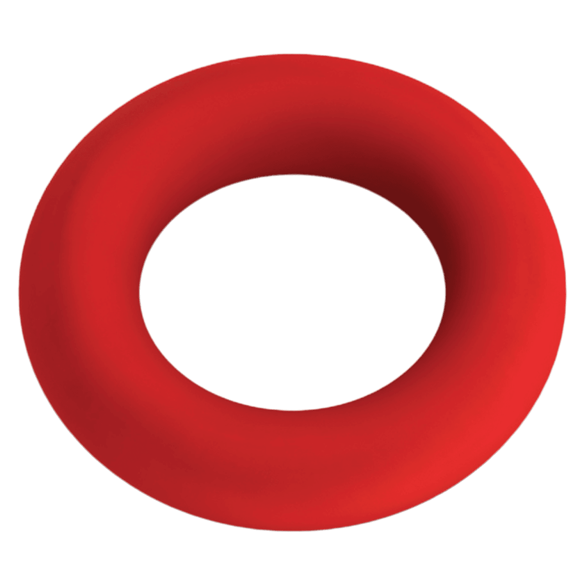 BioHorizons O-Ring, Silicone, Red, 100 x 040 (Each)
