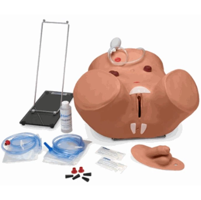 Gaumard Advanced Patient Care Male/Female Catheterization Simulator with Soft Carry Bag