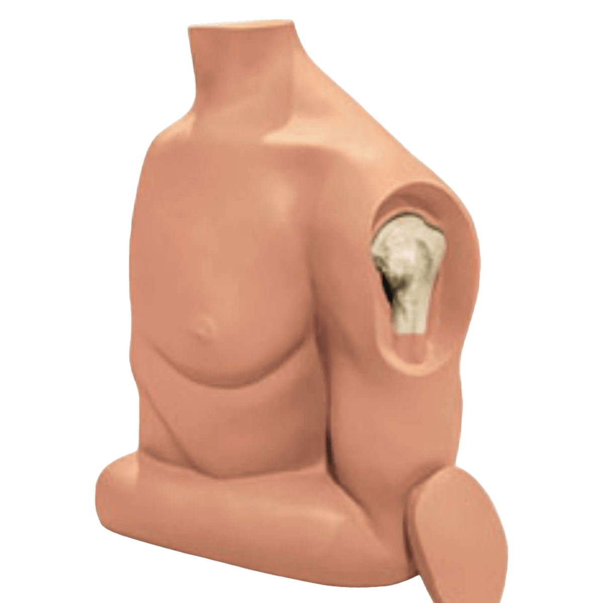 Nasco Healthcare Humerus Intraosseous Educational Trainer