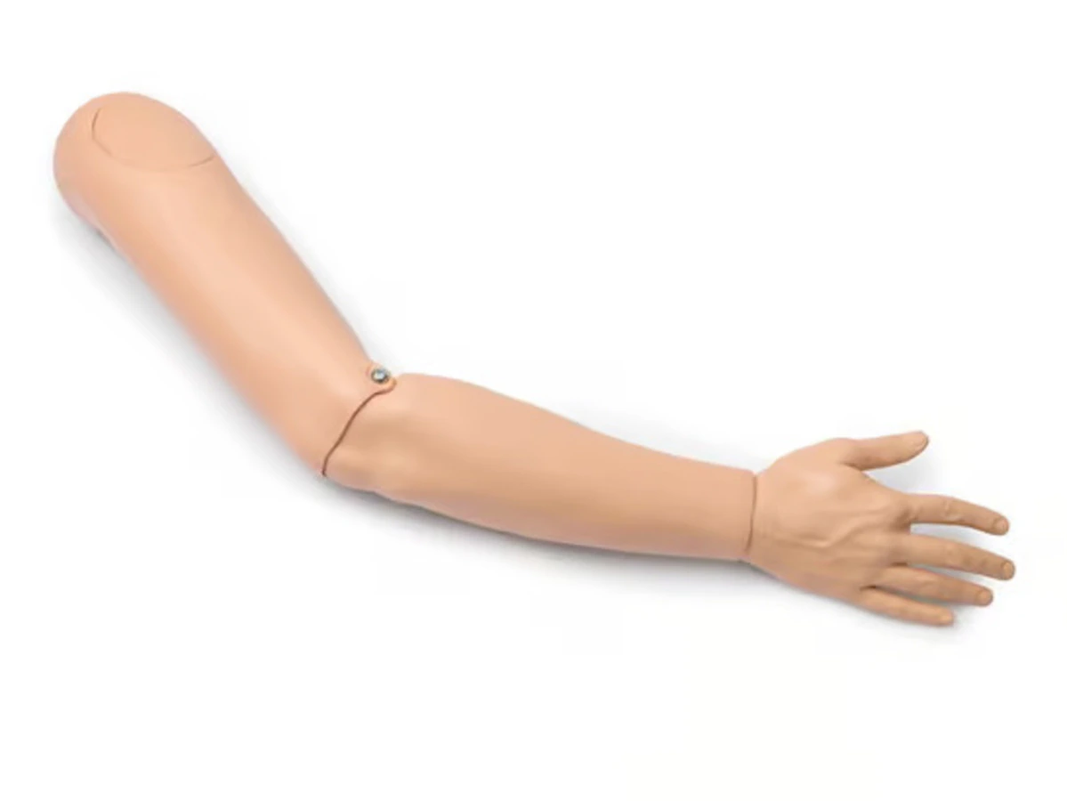 Laerdal Medical Training Manikin Arm Assembly, Adult Male, Right, with Injectable Deltoid Pad and Blank Forearm Pad