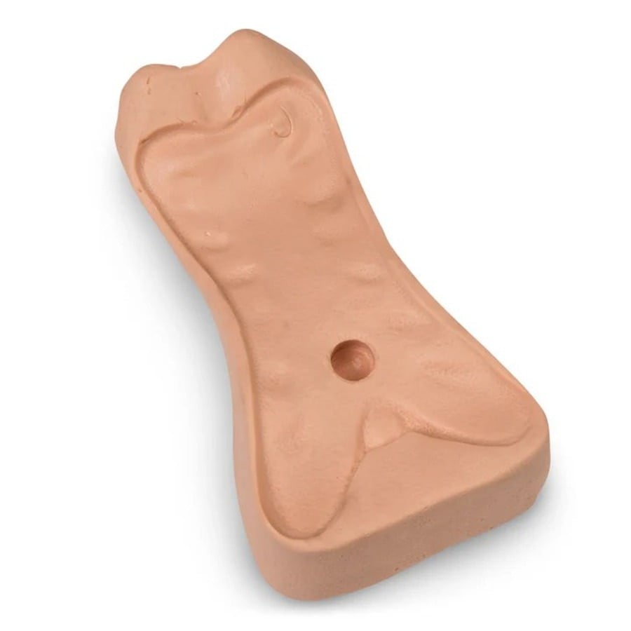 Nasco Life/form Basic Buddy Manikin Replacement Foam Block Cylinder