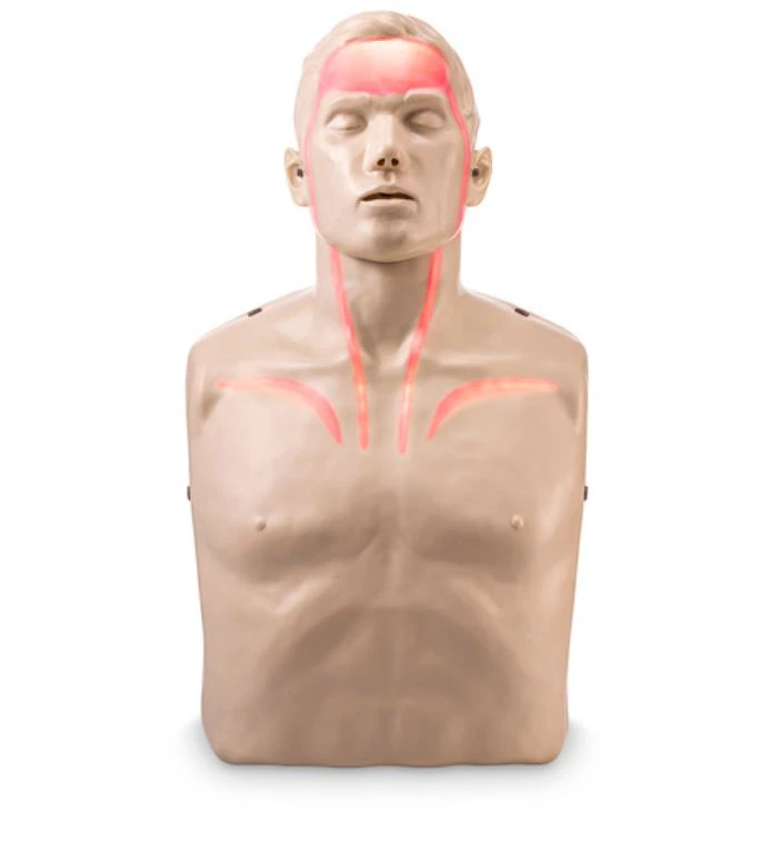 Brayden CPR Training Manikin Torso/Head with Red Indicator Lights