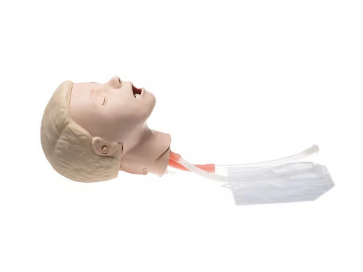 Laerdal Resusci Junior QCPR Intubation Head with Lung Assembly, Tube Clips, and Airway Lubricant (180 ml) – Upgrade Kit