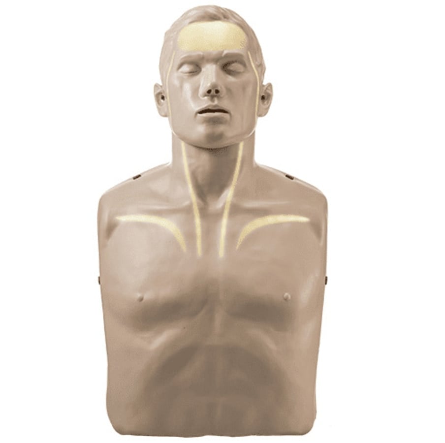 Brayden Advanced CPR Training Manikin, Adult, with White LEDs