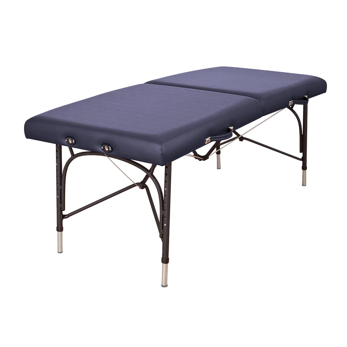 Oakworks Wellspring Massage Table, Orchid, 550 lb Capacity