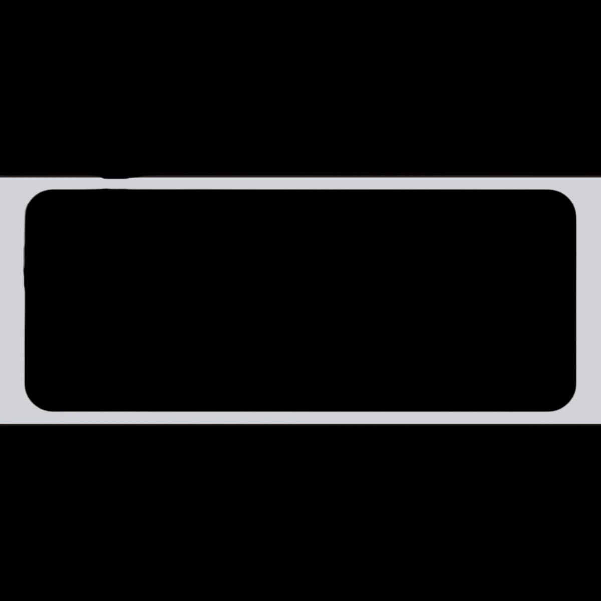 Precision Dynamics SLP-120 Strip/Perforated Labels, 1" x 2.5", 1000/Roll