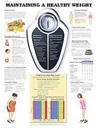 Maintaining a Healthy Weight Educational Chart, 20" x 26", Laminated, Each